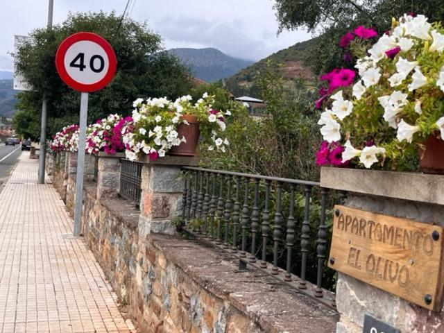Excepcional Apartamento El Olivo Ojedo Εξωτερικό φωτογραφία